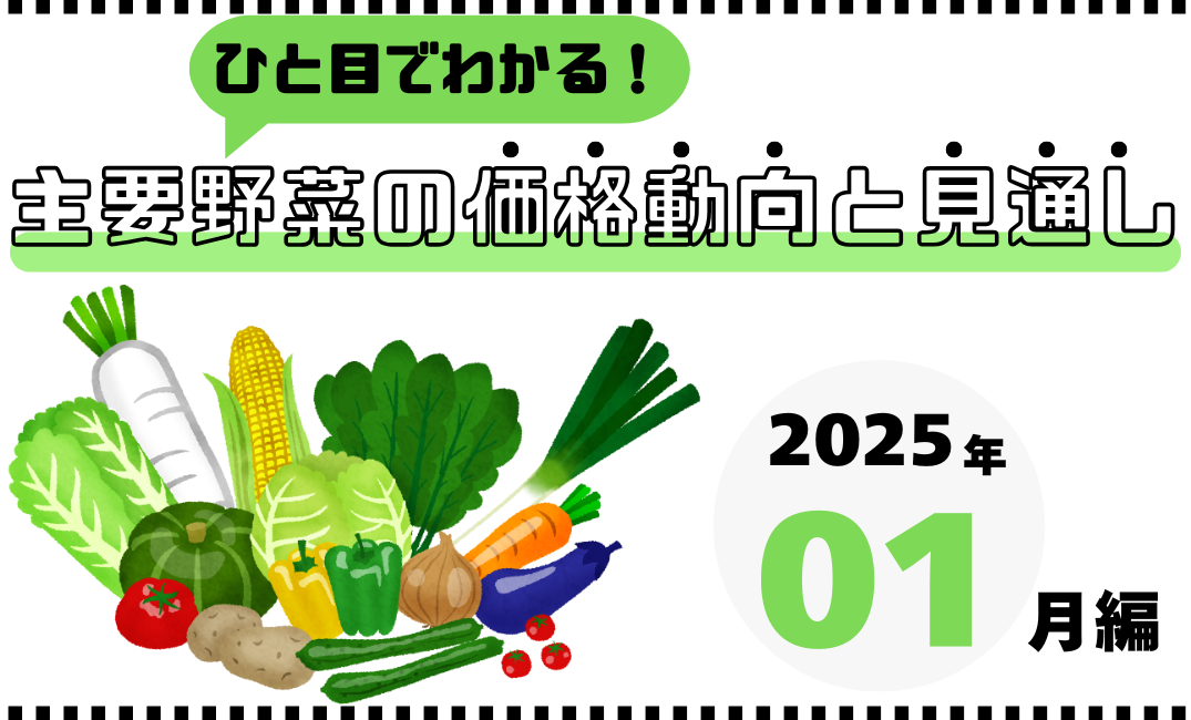 【栄養士＆主婦必見】ひと目でわかる！主要野菜の価格動向と見通し｜2025年1月版